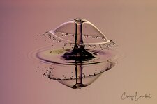 Liquid Art by Craig Loechel 6.jpg
