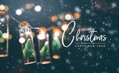 merry-christmas-happy-new-year-concept-close-up-elegant-christmas-tree-glass-jar-decoration-min.jpg