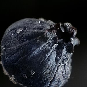 Sugar crystals on an old blueberry