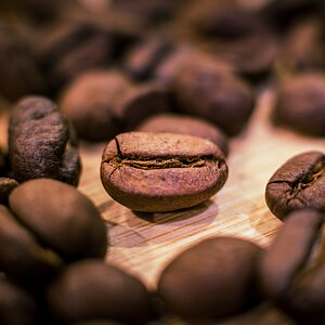 Macro Coffee Bean.jpg