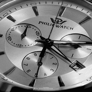 Macro watch BW.jpg