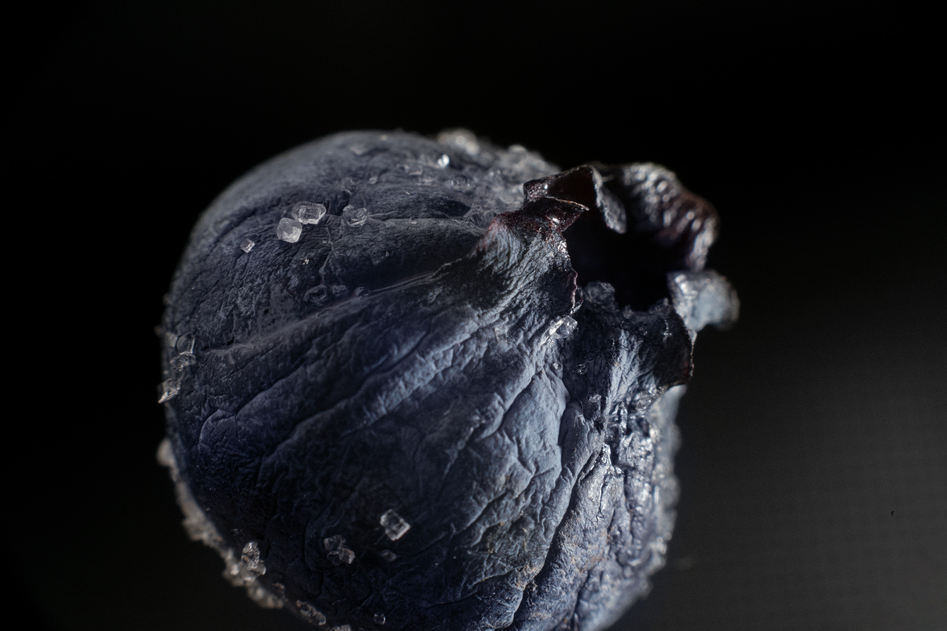 Sugar crystals on an old blueberry